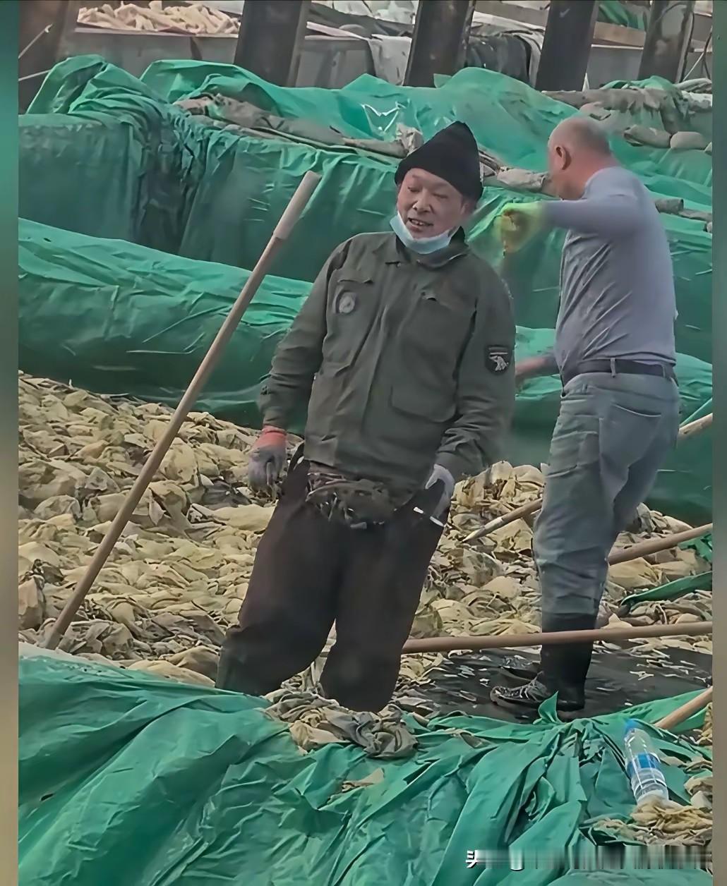 大坑酸菜工人上班抽烟吐痰往酸菜里整这事儿我越琢磨越来气!企业还捂着盖着不当回事儿