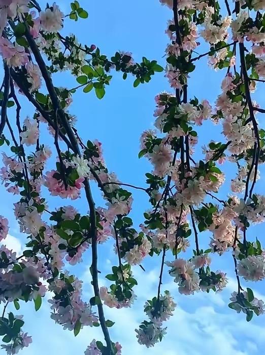 我朋友的老公出轨了，俩人正要离婚，结果她婆婆瘫痪了，我朋友的老公当即不离了，还和