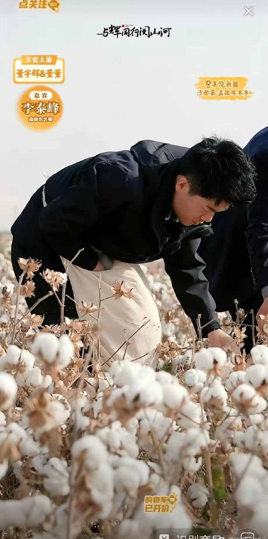 他不喊“买它”，但3.2个亿卖光了。新疆棉田里，一台采棉机轰隆隆开过，42万人