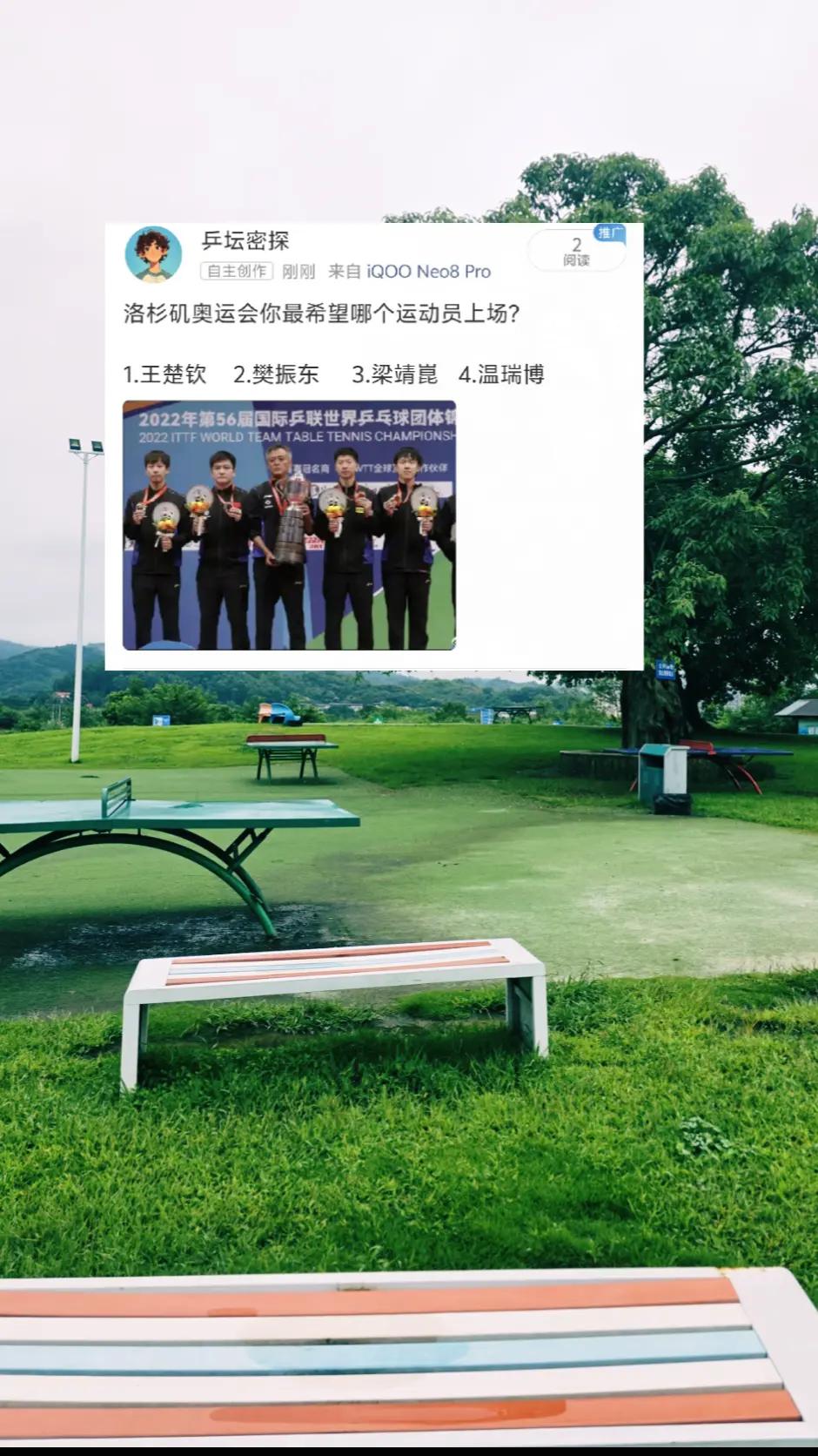 洛杉矶奥运会，你最期待哪一位运动员上场？樊振东洛杉矶奥运会王楚钦