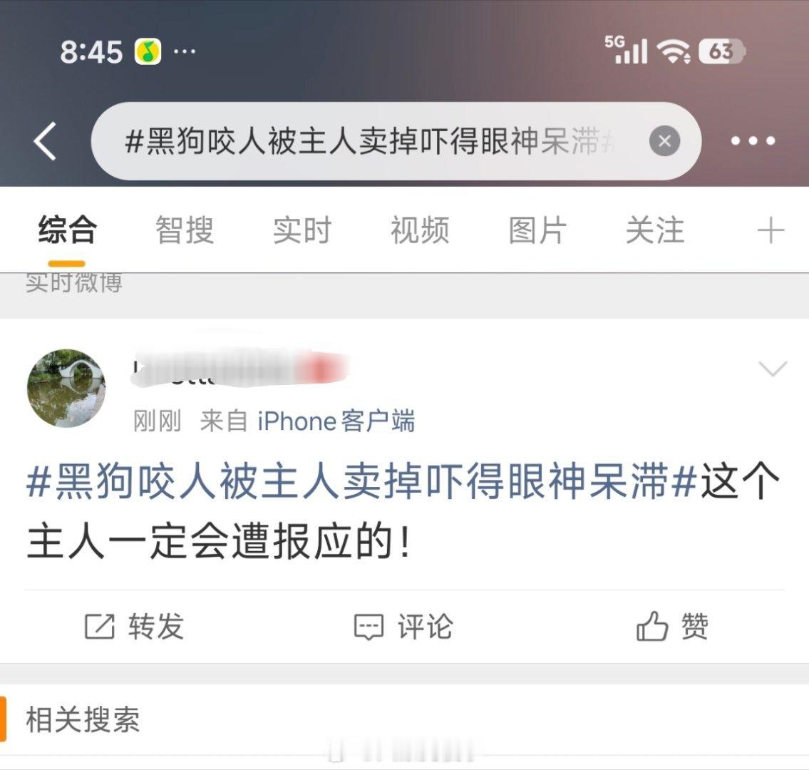 爱狗人士这么多。