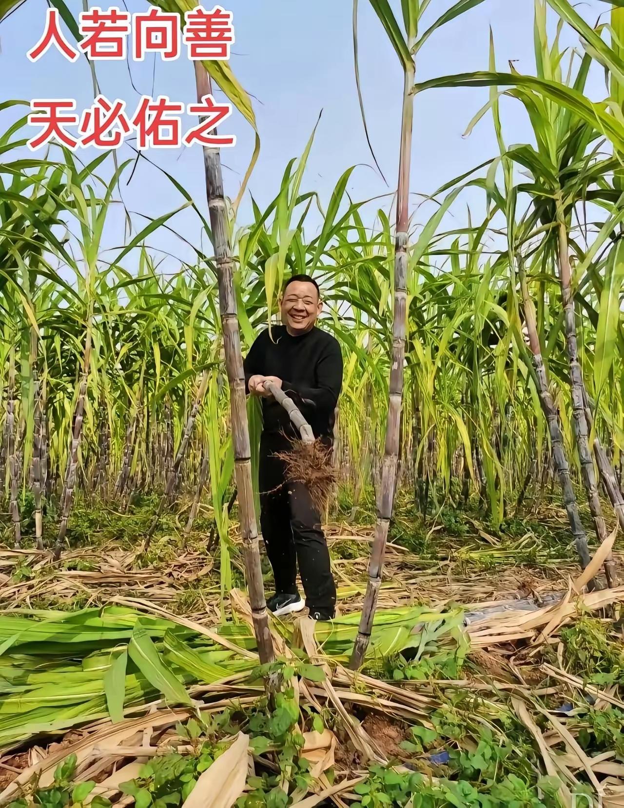 人若向善，天必佑之