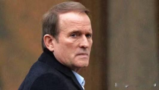 乌克兰已形成由泽连斯基掌管的强大的“撒谎机器”——乌克兰反对派“另一个乌克兰”领