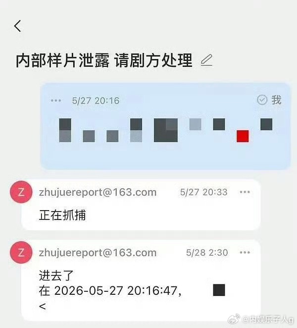 主角泄漏主角片方泄漏片源处理的好迅速…几个小时就进去了…说明只要片方想查，想