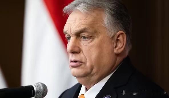 匈牙利请求欧盟对“友谊”管道的状态进行专家检测匈牙利总理欧尔班请求欧盟派遣“