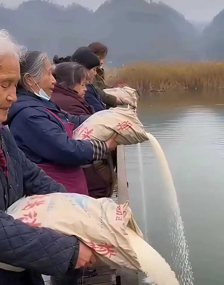 现在人真会作妖。就比如放生吧。一般是出于怜悯，对小动物放生，以求心灵慰藉。但