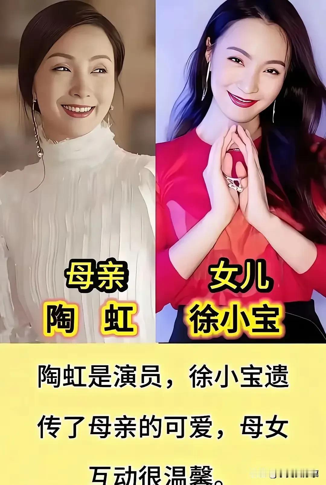 他们是同一株植物上的两朵花——妈妈是根，扎在土里几十年的养分，全给了枝头那朵新