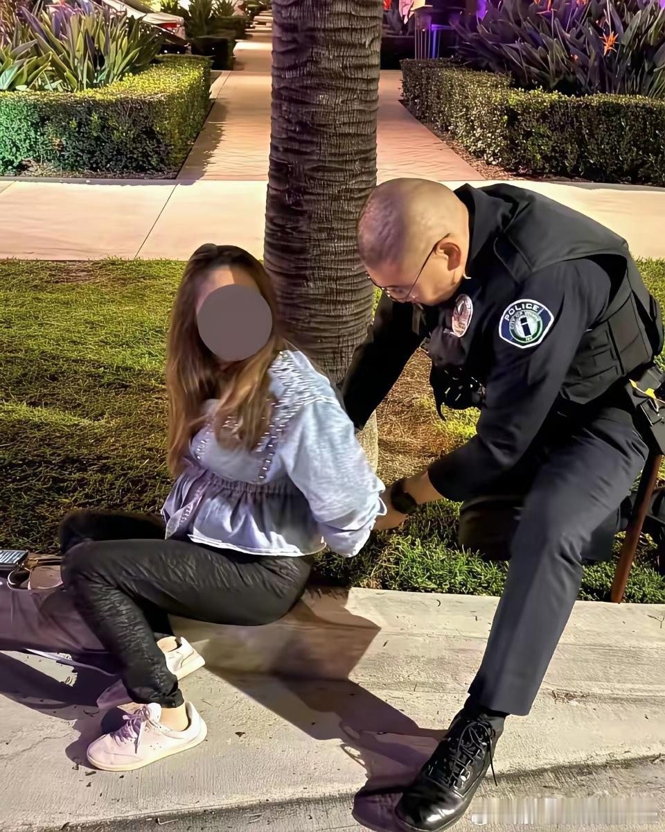 疑似母女关系的华裔美女被美国警察抓捕，理由是偷快递，大美女52岁，小美女26岁！