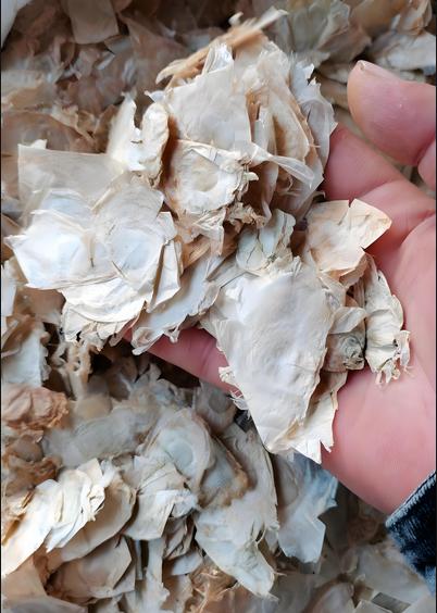 十个肠息肉，七个脾虚湿盛！6味药精简方，健脾祛湿消息肉，内湿一扫空！不少人
