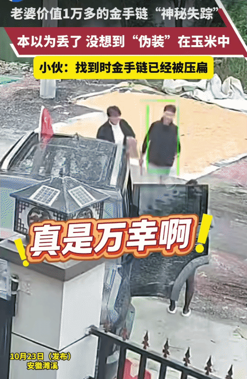 万万没想到！安徽，女子发现价值1万多元金手链不见了。结果，在玉米粒里找到，被车压