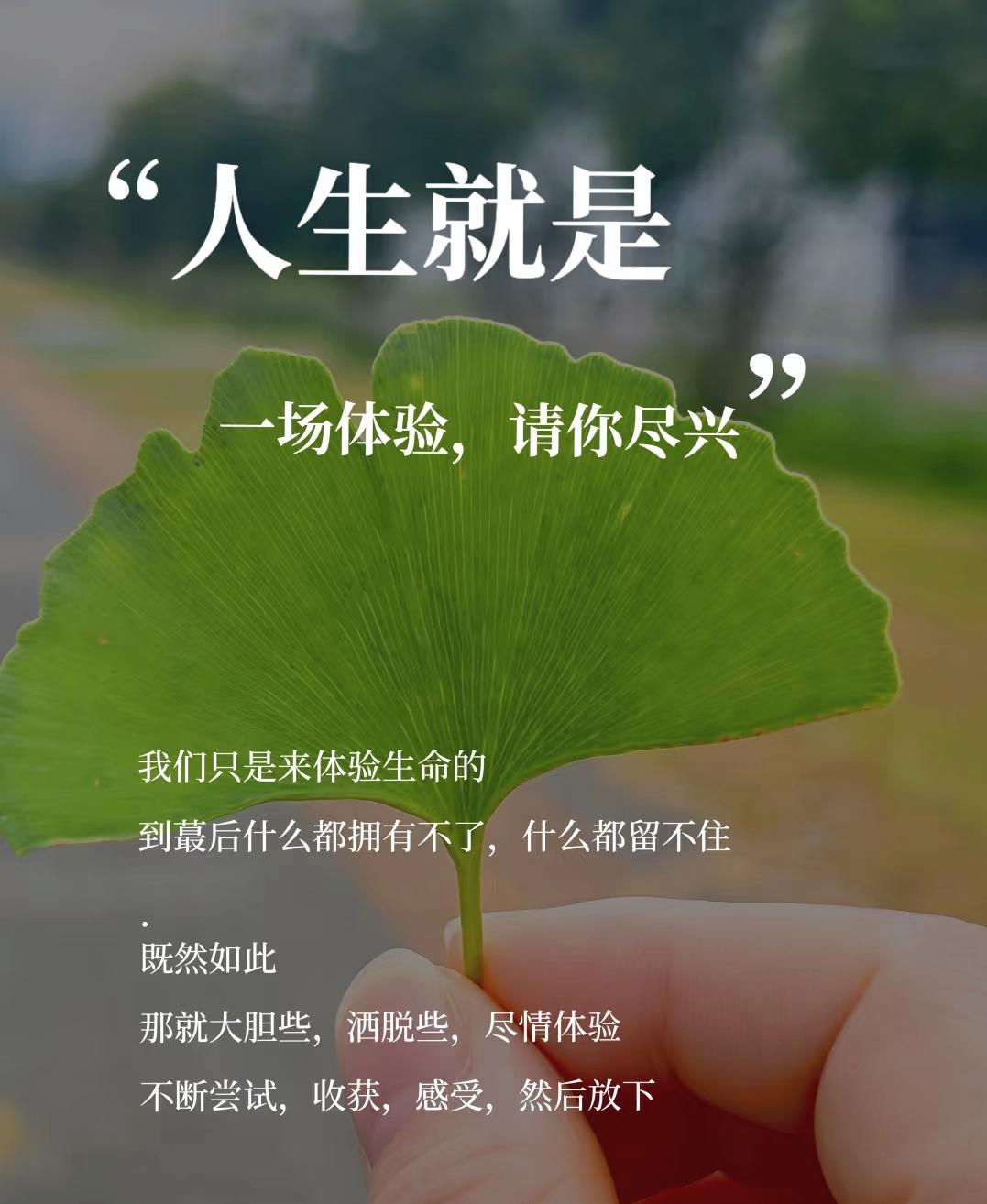 你对人生有哪些感悟？所有“来得及”，都藏在“现在做”里：纠结过去、焦虑未