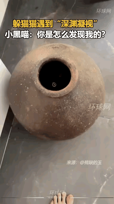 小黑猫钻进陶罐里玩躲猫猫，只露出一双圆溜溜的眼睛，一本正经地“深渊凝视”外面。