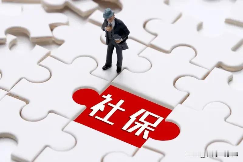 请问那些对养老金差别不满的人。怎样看待养老金缴费不平等的情况？有人一年只交两三百