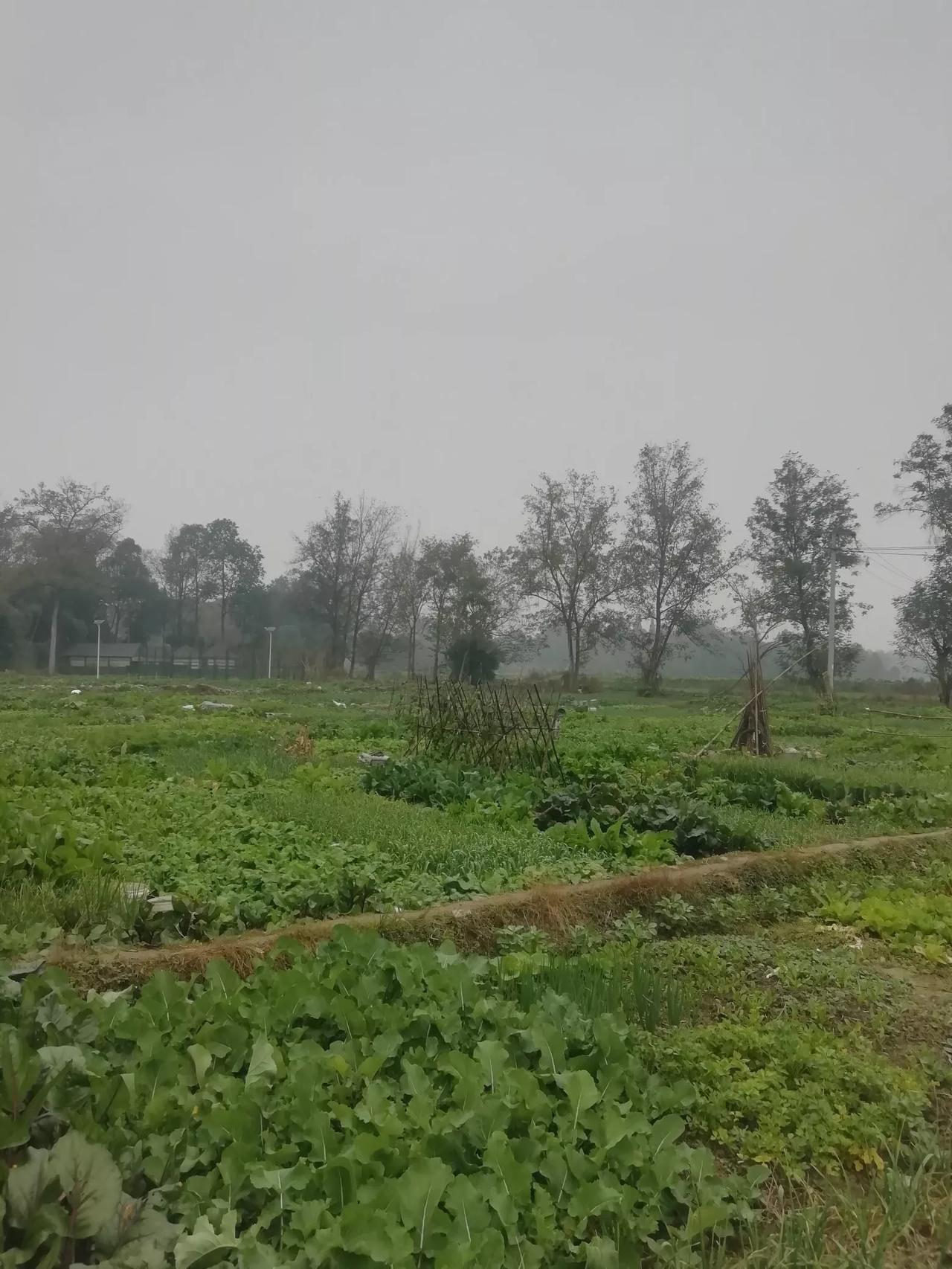 ● 上联：好运常临平安宅请对下联