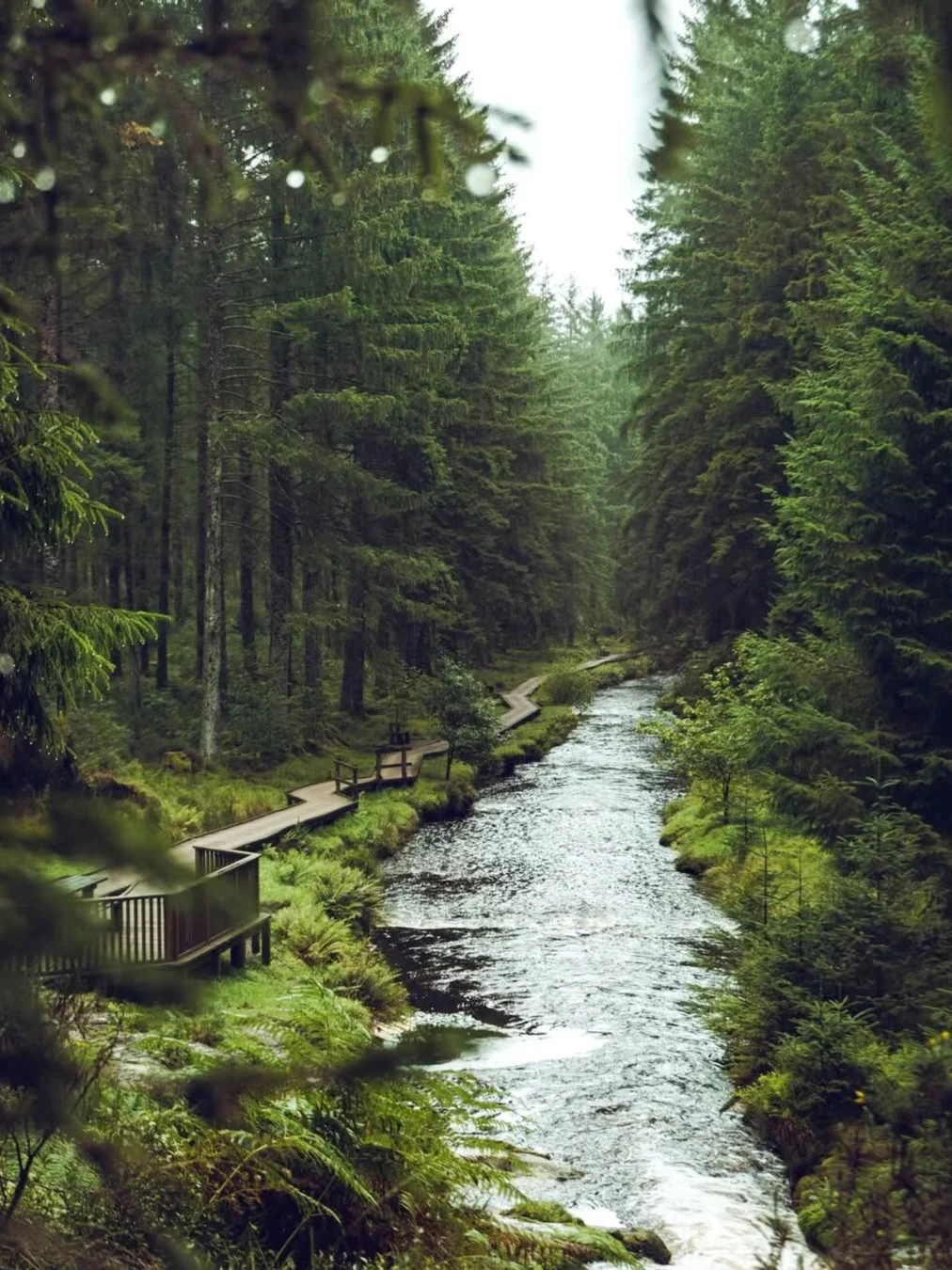 🇬🇧被严重低估了！英国最美的徒步骑行森林…