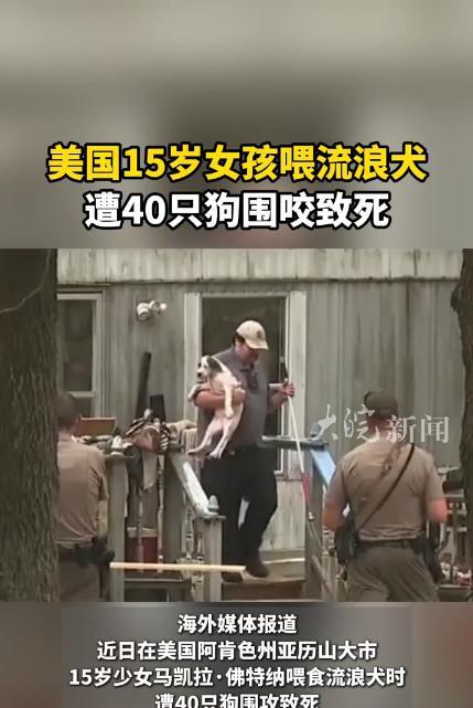 还敢喂流浪狗吗？15岁女孩发现家附近有许多流浪狗，就经常和母亲一起投喂，不料，这