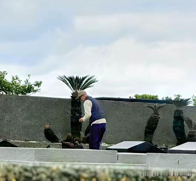 具俊晔是真的爱大S。还没有哪一个男人妻子去世以后，能够一年的时间内不停的去墓地