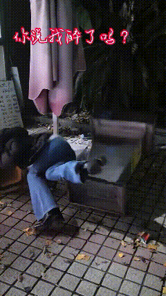 给美女的表演打个分！我敢打包票，这是真喝多了，不是装的，是真摔！绝对是性情