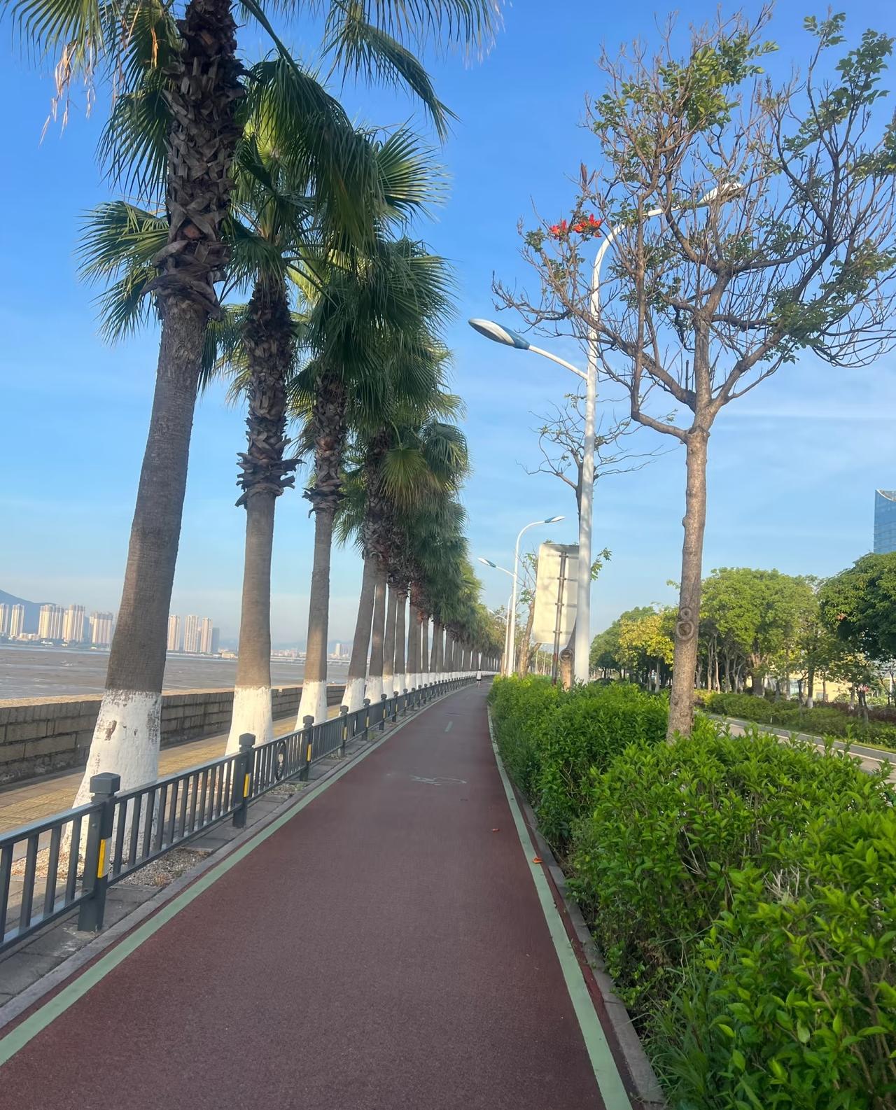 人到中年后，想要健康过好下半生，跑步是你唯一的选择和出路人到中