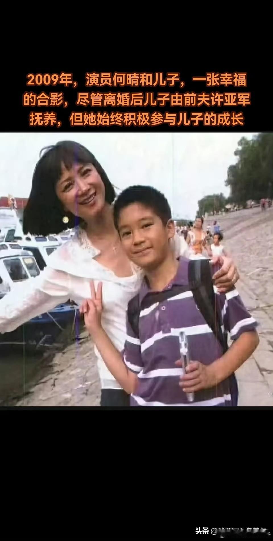 何晴没要儿子的抚养权。她不是不想要，是当时真的没办法。母亲突发脑溢血成了植物人