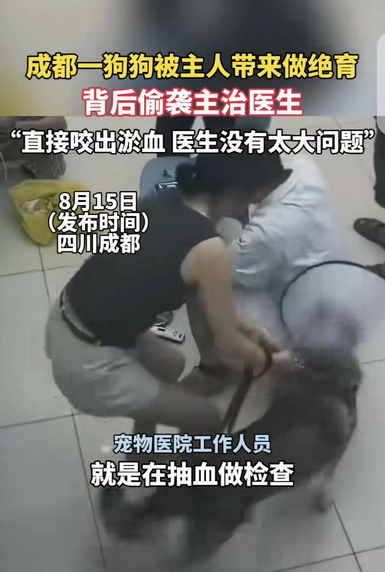 四川成都，一女子带狗去宠物医院做绝育，万万没想到，手术结束后，宠物狗对给它做绝育