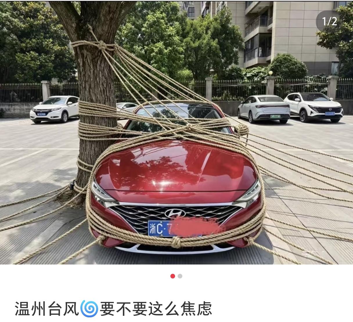 论防台抗台，温州人说一，没人敢说第二。常年与台风交手，温州人早已把防台融入