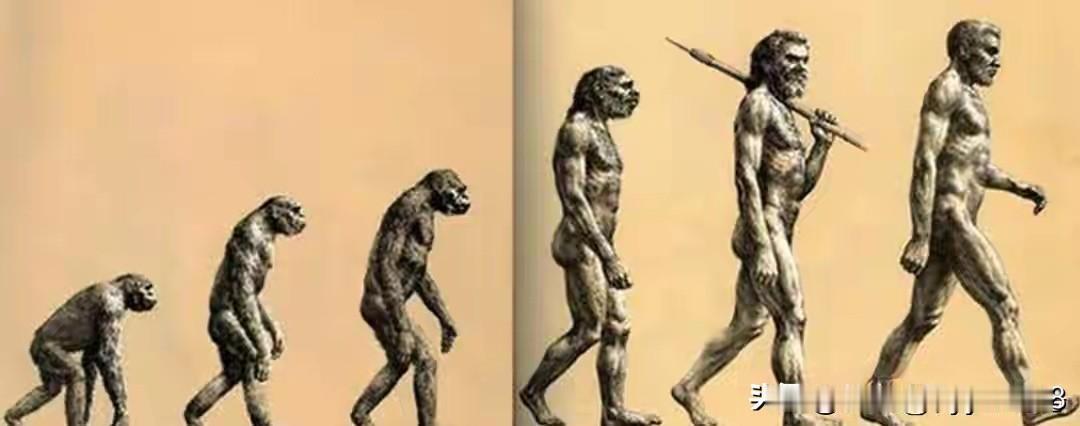 人类灭绝后，还会有下一批人类出现吗？答案让人清醒人类如果从地球上彻底消失，