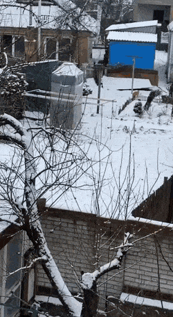 如此敏捷，不愧是猫科