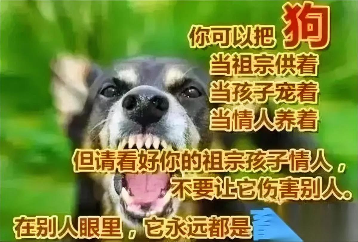 北京养狗这事判决结果来了谁能想到喊着法治的她输透了。当初这位女狗主人