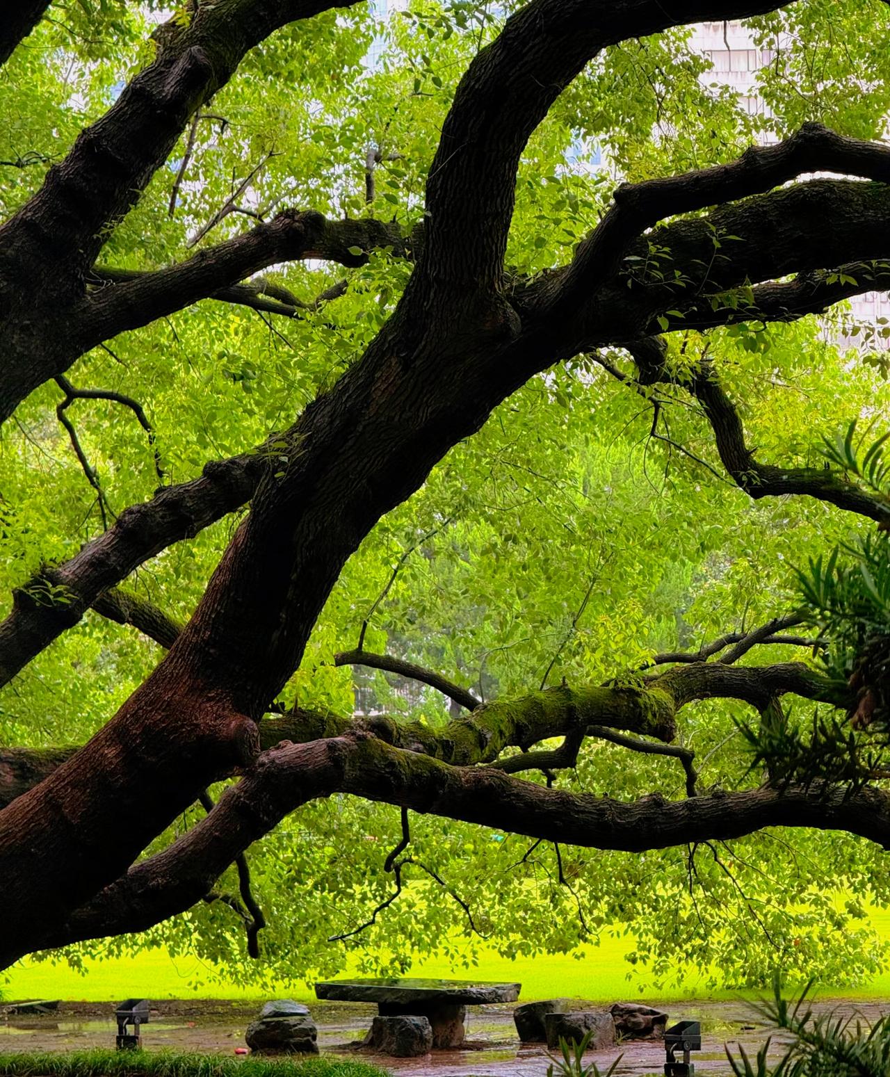 挺遗憾的，真爱是拙劣的。真心爱人的时候爱得很拙劣很没有章法，空有一颗真心，后面有