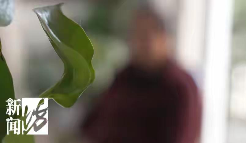 老人被保险业务员套走60余万元，养老钱血本无归！警惕这些套路张大爷今年72岁