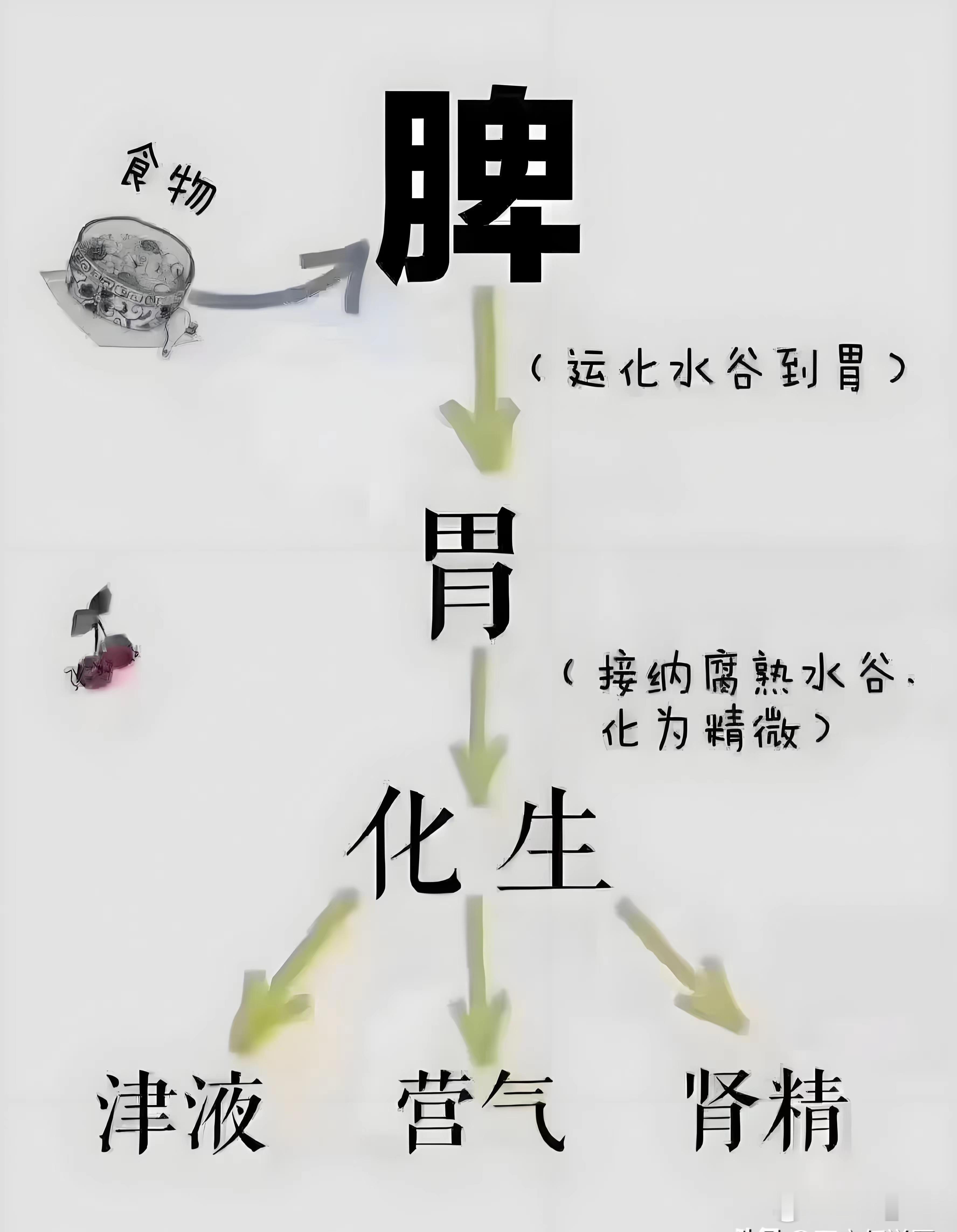 小儿发热之如何用中成药快速退热  小儿发热是常见证，相信很多家长都经历过，真是