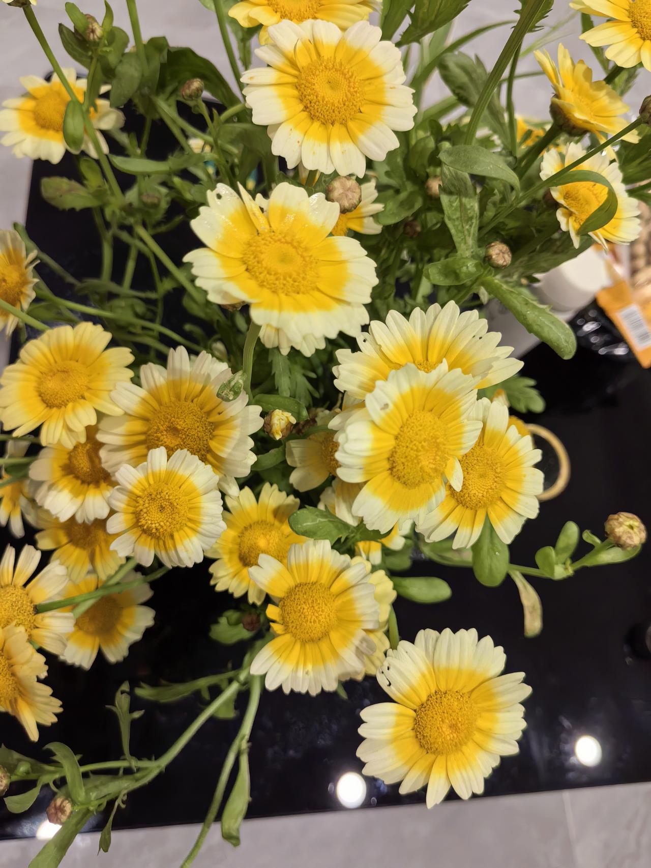 嫁人还要节衣缩食地过日子，不如不嫁。这是很多女生的想法，所以历来女生只有上嫁