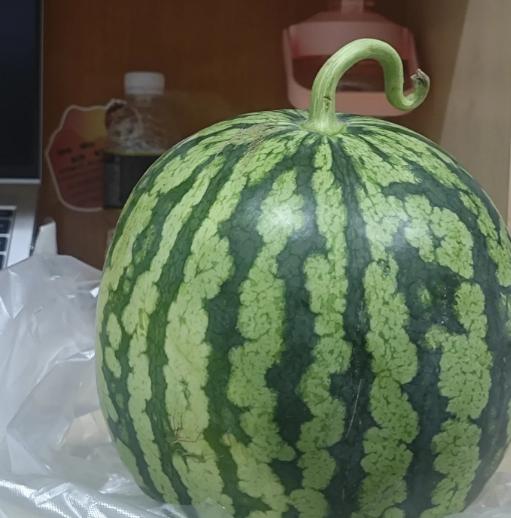 发现没？这两天新疆的西瓜价格很奇怪，昨天还2.5一公斤，今天却无人问津了。路过一