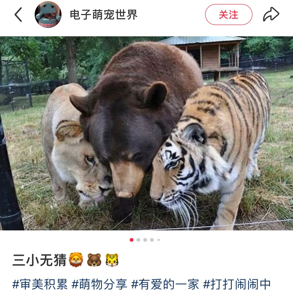 西八三