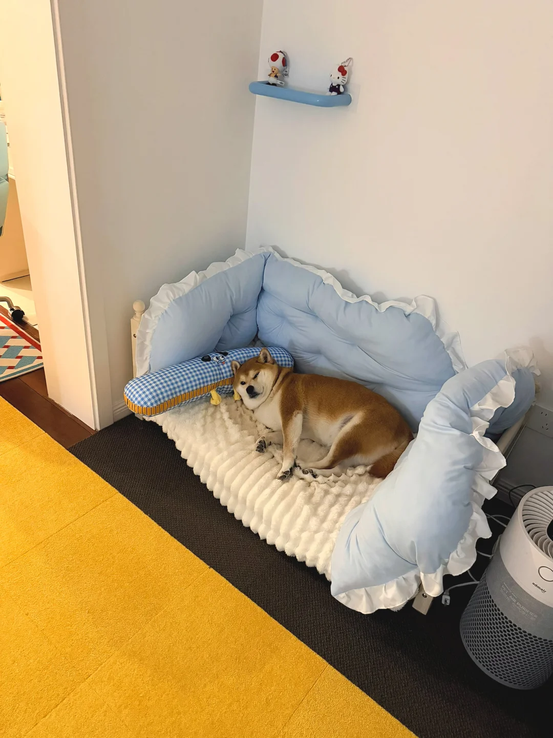 看了这张脸六年 每天都觉得它好可爱