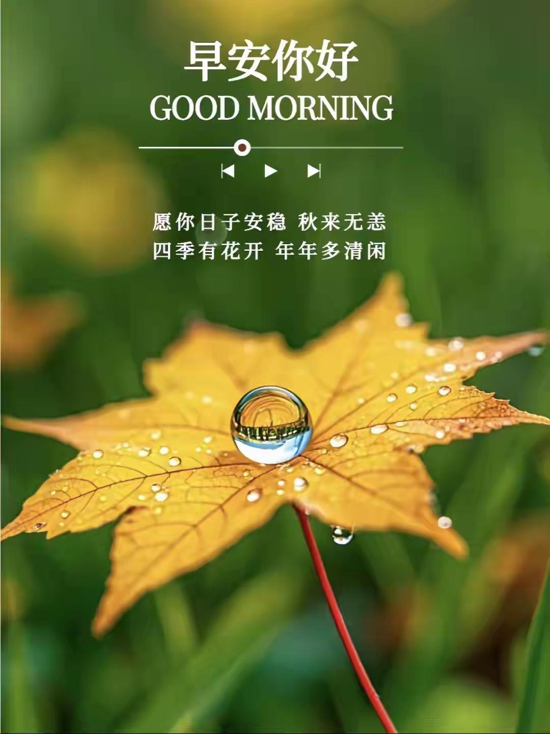 人们形容微信是早餐，是很在理的，尤其我们中年朋友，微信是我们传播正能量的工具，是