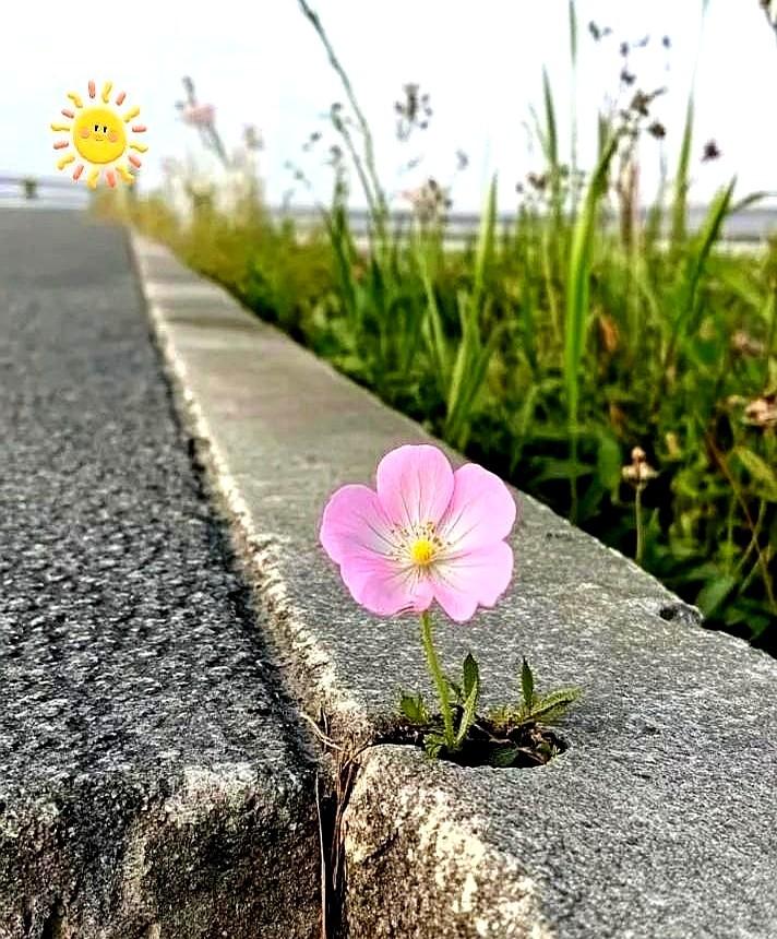 大家发现了没？农村里粗茶淡饭、干农活的人，得脑梗、糖尿病的人越来越多，还越来