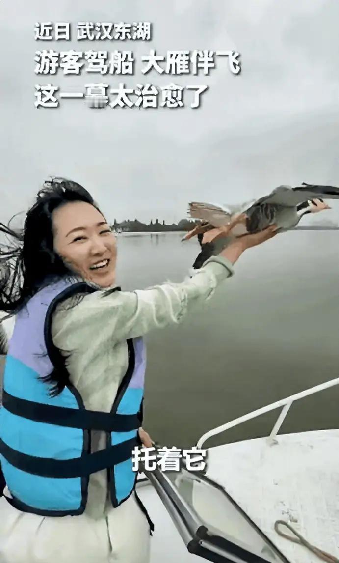 武汉，一女子驾船出海欣赏美景，突然飞来一群大雁和船并肩同行，女子伸出手，谁能想到