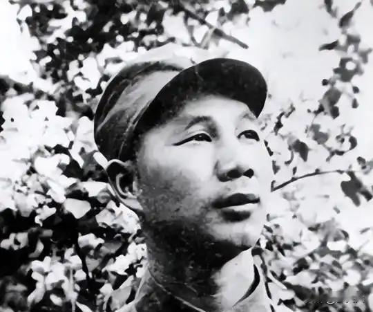 1948年18岁赵德茂告别怀孕妻子参军一去不返，家人苦寻61年无果，2009年女