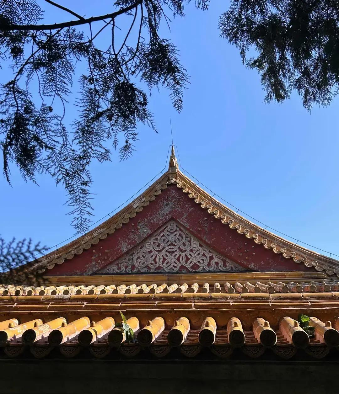 郭德纲还在讲规矩，德云社的演员们已经悄悄签下了合伙人协议。烧饼，那个当年在后台