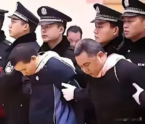 以前看过这些画面，只是看一眼就翻过去了，并没有注意观察，也没有认真思考，现在在别