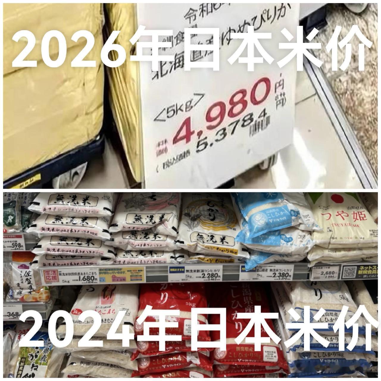 “早苗热”退烧：日本年轻人用钱包，为当初的90%高支持率买了单高市早苗执政满