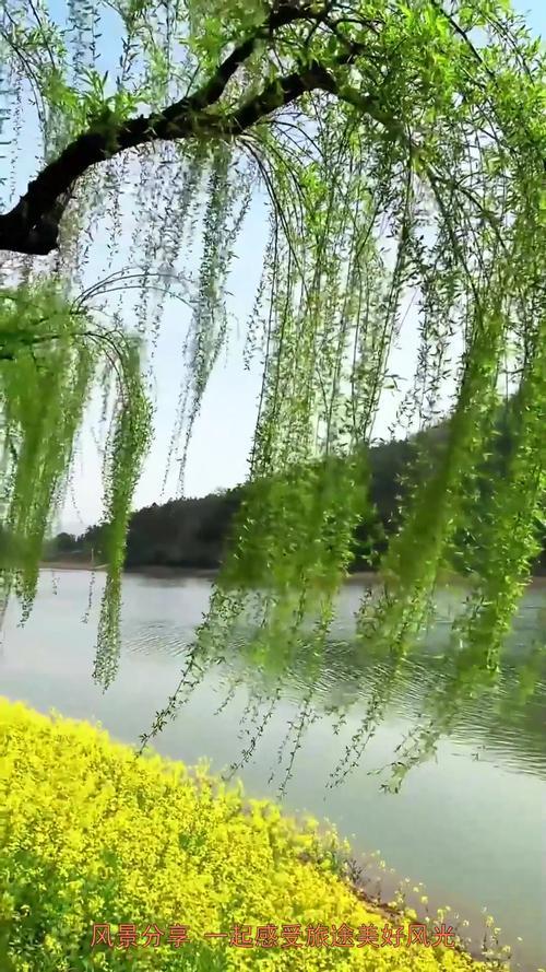上联：柳岸春风摇碧影，下联：芦花秋水伴鸿飞，下联：荷塘夜雨碎清波。
