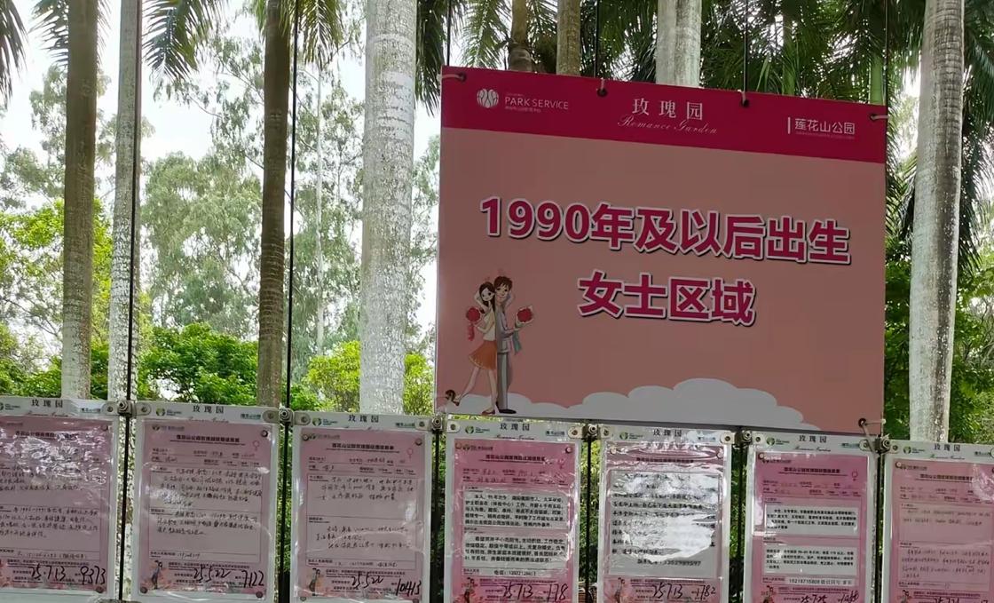 “婚姻市场要变天”的感受，正被现实数据印证。民政部2025年二季度数据显示，上半