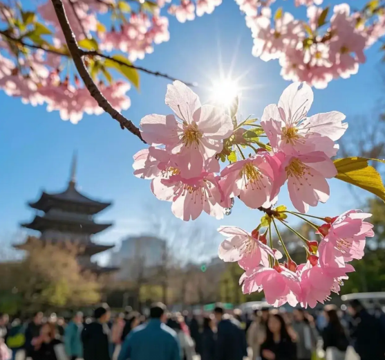 一个老师说，学校老师付钱陪餐很不合理。学校安排老师陪餐，师生同餐，意思是用老师