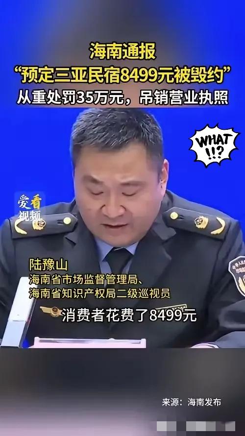 真解气！玩不起就别开店！海南这位民宿老板，为了赚差价临期毁约，最终付出惨痛代价！