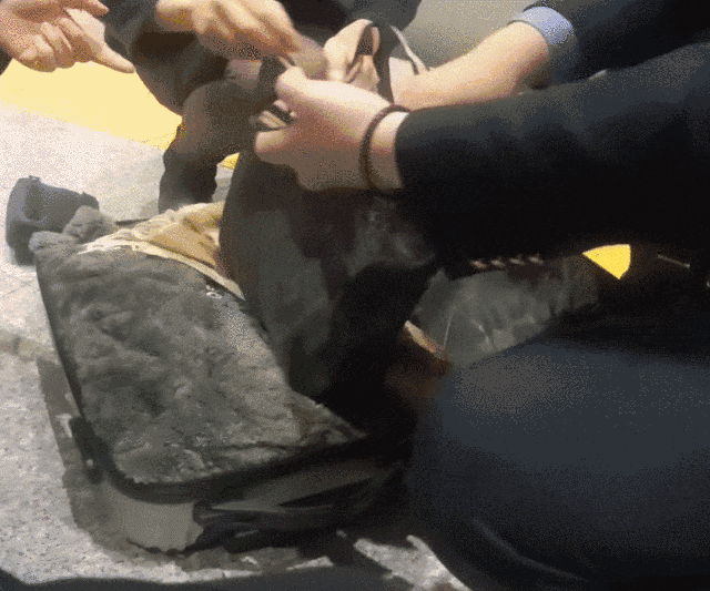 全网最马虎的女人出现了！浙江衢州，女子乘坐高铁，下车后走了几步突然反应过来，自己