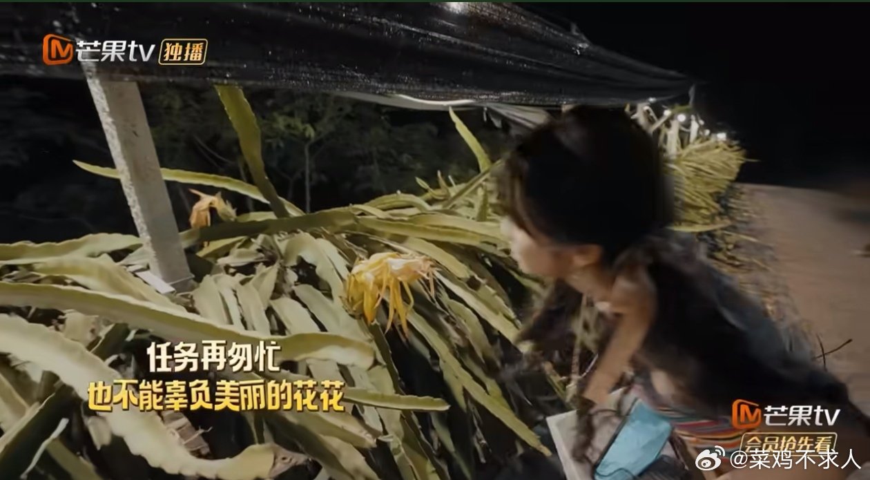 田曦薇高精力小田妹跨点位开关任务全程奔跑不停！隔着老远的点位也大步冲刺，小田妹