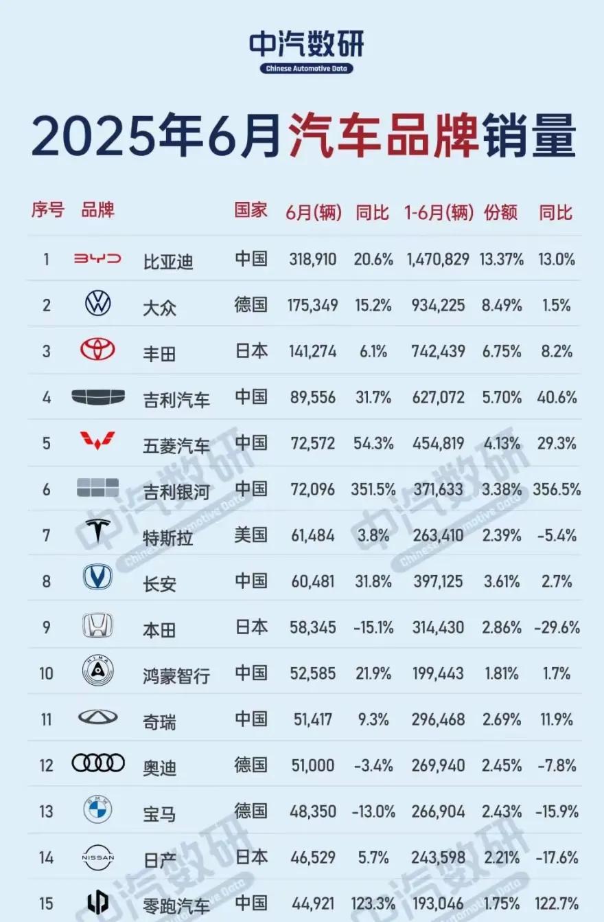 比亚迪31.9万月销夺冠，背后却暗潮汹涌？2025年6月，车市销量数据出炉